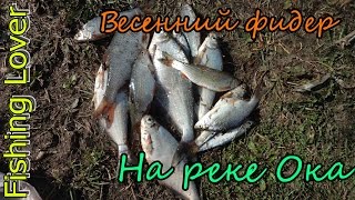 Фидер весна ока