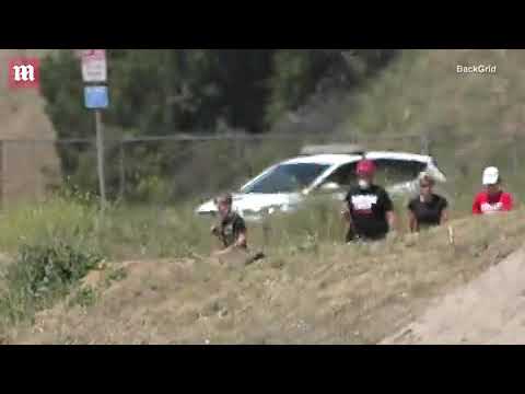 Will Ferrell takes the dogs for a walk with the family in LA