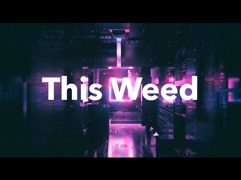 Hybrid CO2 Concentrate | This Weed