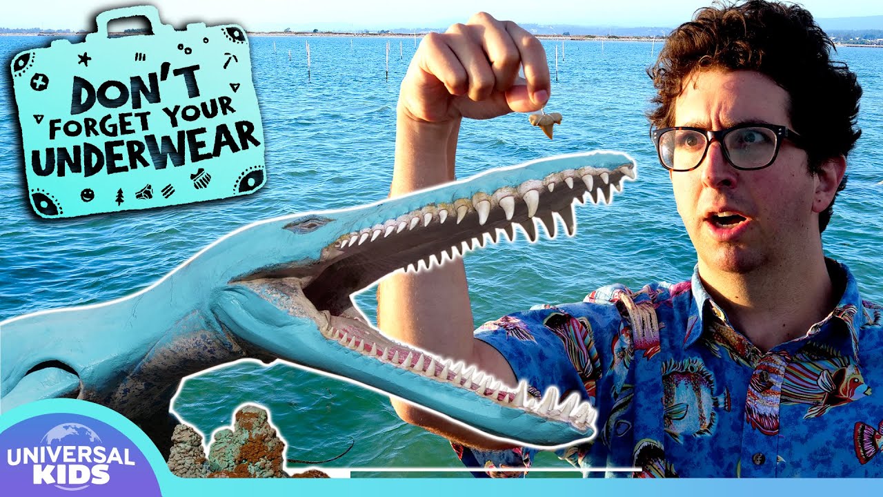 What If I ACTUALLY Found a Sea Monster? | DON'T FORGET YOUR UNDERWEAR