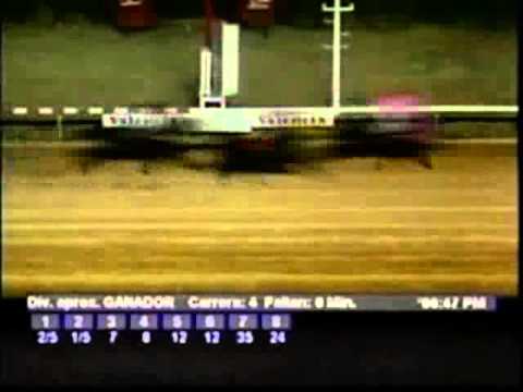 Resumen Viernes, 11 de Enero de 2013 - Valencia