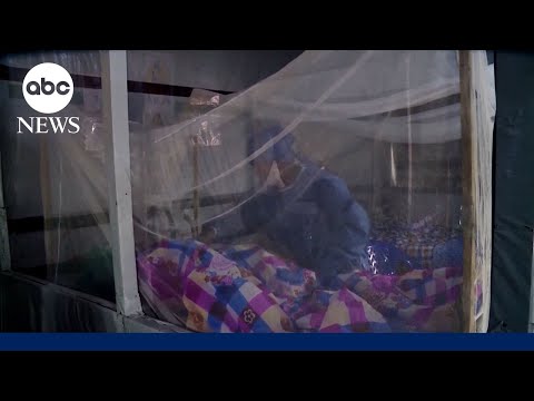 Two possible Ebola cases reported in Brazil