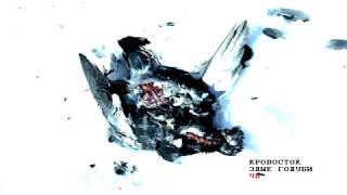 Cover art for Злые голуби