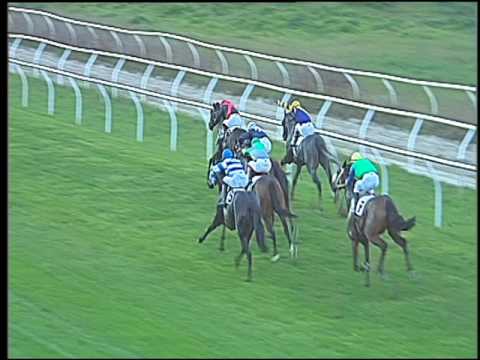 Galoppo 03/11/2016 - 4ª corsa