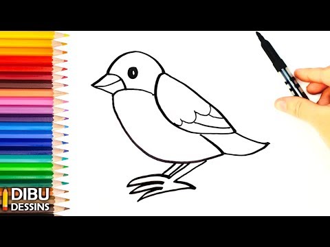 Comment dessiner un Oiseau | Dessin de Oiseau