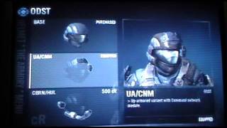 Best armor to use while playing Halo Reach Lone Wolf