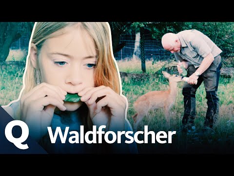 Forest Adventure: City Children Discover Nature | Quarks