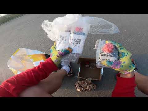 UnPacking pART15  FAT Oozy dirt ink and Grog Nero D'inferno Limited Edition pack