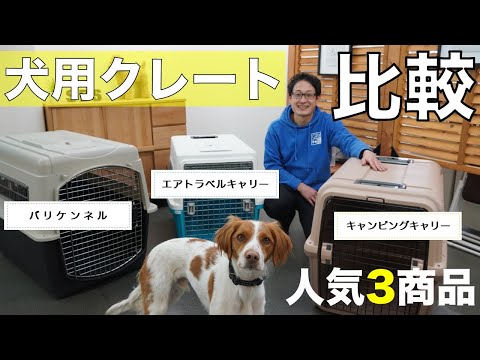 犬輸送用クレートの選び方