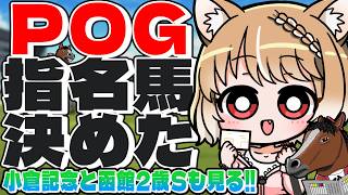 【競馬同時視聴】POG指定馬言う！小倉記念と函館2歳ステークス見るぞおおおおお！【まるちぃ 】