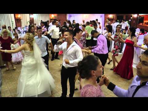 Ovidiu Taran - live la nunta   (etno )