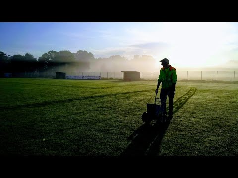 Bilder des Jahres 2019