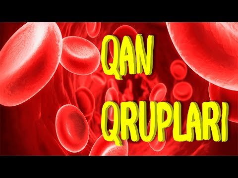 Qan qrupları barədə məlumat