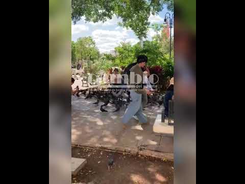 TURISTAS DENUNCIAN ABUSOS DE COMERCIANTES Y “COYOTES GOLEADORES” EN EL CENTRO DE MÉRIDA