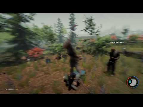 The Forest Strange New Mutant