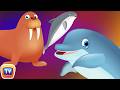 Surprise Eggs Wildlife Mammals Toys Wild Sea Animals Animal Sounds ChuChu TV Surprise For Kids