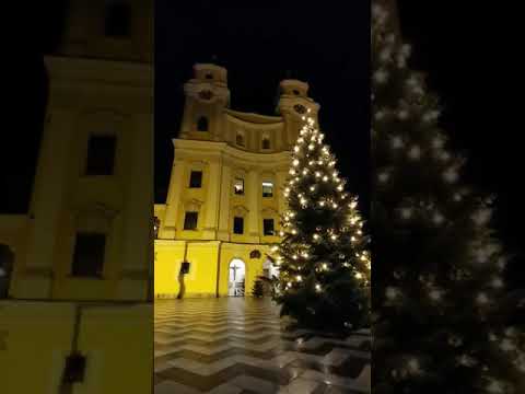 O Lieber Hauswirt mein