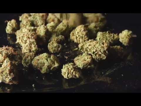 BIG SHINE - BURN ANOTHER ONE