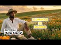 Alma Bonita - Sam Bluuz