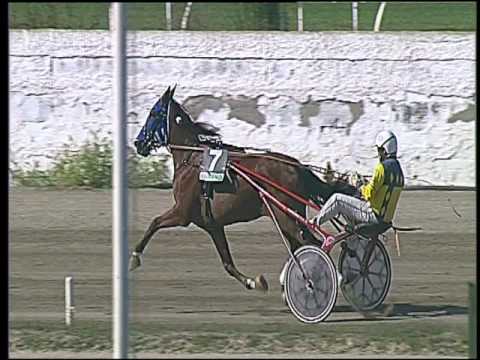 Trotto 25/09/2016 - 1ª corsa