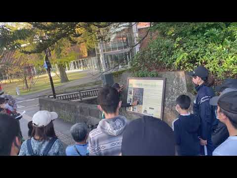 動画の説明