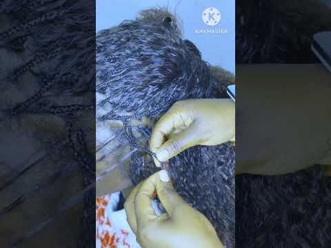 How to make beautiful tree-single-brais using salsa