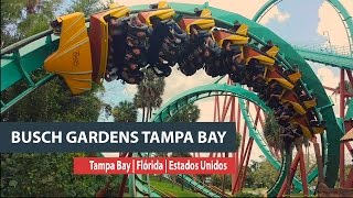 Giros, rodopios e animais no Busch Gardens Tampa