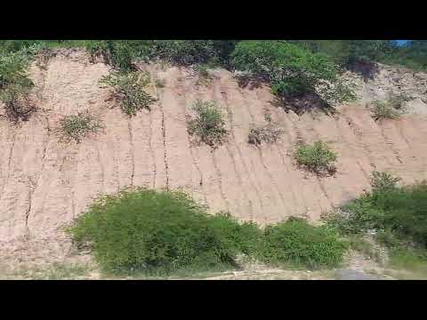 Samuel contando las belleza  de la naturaleza  de nuestro Rosario de la frontera 3/2/26