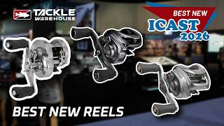 Best New Reels