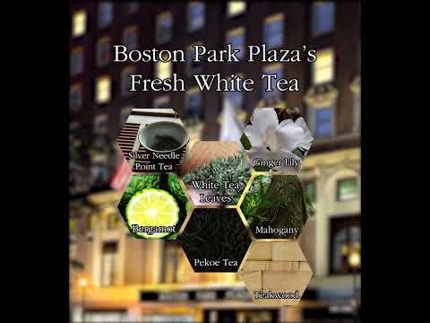 Boston Park Plaza's Fresh White Tea | Aroma Retail