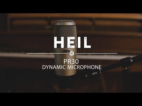 Heil Sound PR 30 Dynamic Supercardioid Studio Microphone (Champagne) 885936793017 Champagne image 3