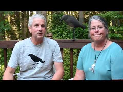 Crow Scientist Video