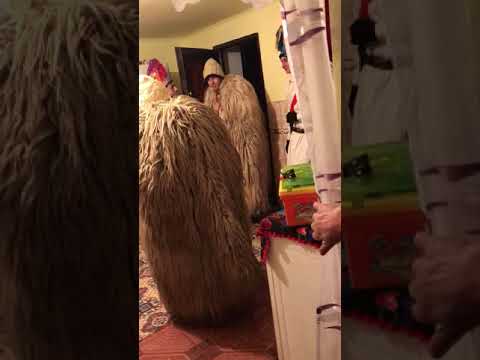 Viflaimul in Giorocuta final de an 2017