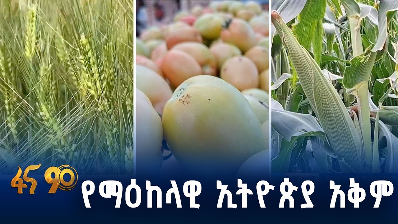 ለኢንዱስትሪ እና ለውጭ ገበያ የማምረት አቅም