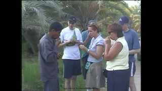 preview picture of video '2004 Egypt   Désert Libyque, Oasis Al-Bahariya, Villages, Désert Noir Des Environs'