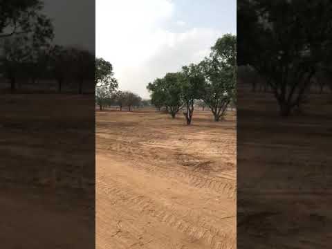 Video #1