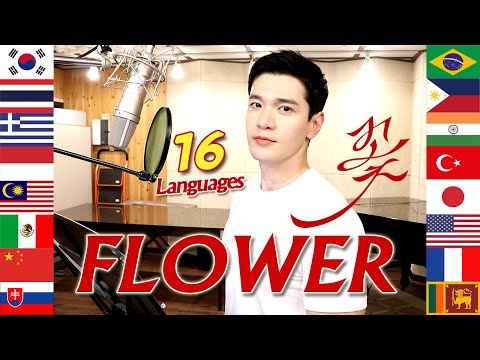 FLOWER 꽃 (JISOO) 1 Guy Singing in 16 Different Languages  | Multi-Language Cover by Travys Kim