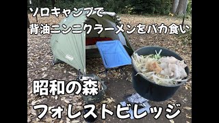 【キャンプ】ソロキャンと私　キャンプで食べるラーメンが美味すぎた