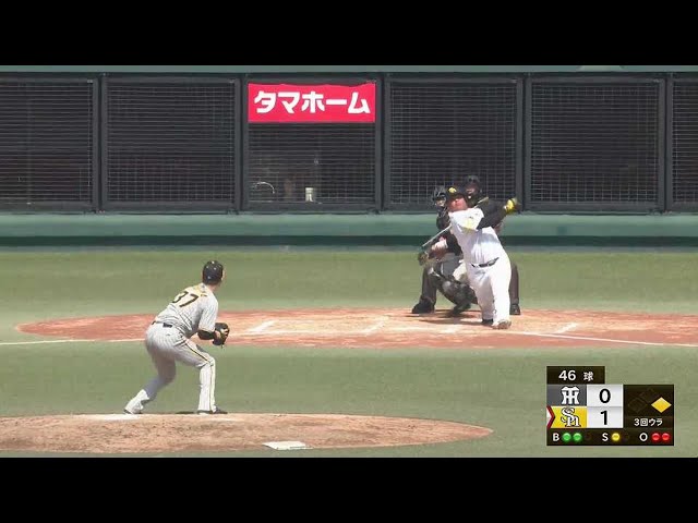 【春季教育リーグ】バッティングに復調の兆し‼ ホークス新外国人・アストゥディーヨ 前日に続くヒットはタイムリー2ベース!!  2023年3月15日 福岡ソフトバンクホークス 対 阪神タイガース