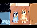 Sæson 3 Kompilation Af Hele Afsnit Bluey På Dansk