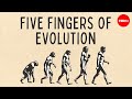 Five Fingers Of Evolution Paul Andersen