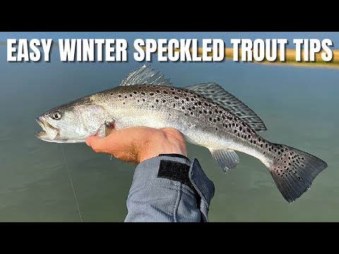 Quickest & Easiest Way To Find Speckled Trout In Winter