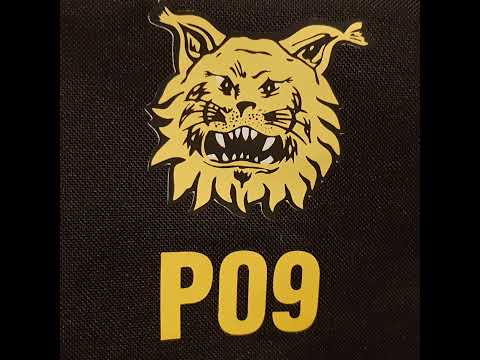 ILVES B1 B2 vs TPV B1