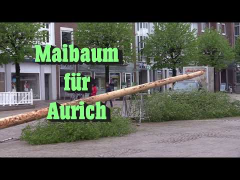 Auricher Maibaum die Neunte