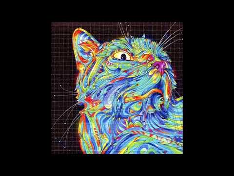 Keine Kraft - Little Young Bird