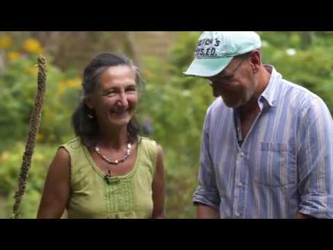 beeMOOC-Bienen anschaffen