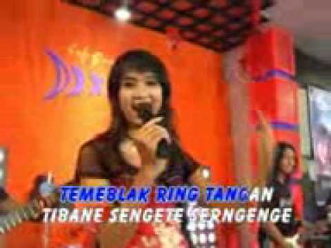 Denata Alum suliana