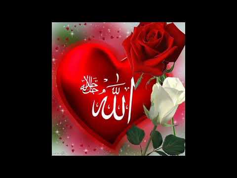 new pictures Allah beautiful gift Muhammad (#saw) Allah dpz/Islamic Urdu photo Arabic language dp.