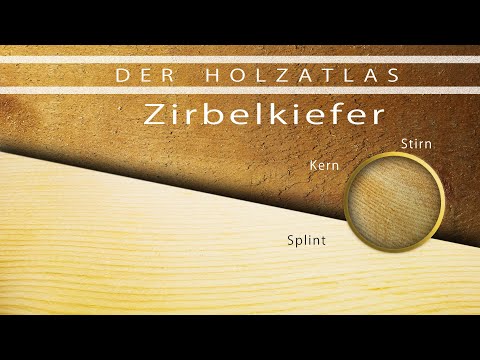 Die Königin der Alpen - ein Duftbaum der Extraklasse