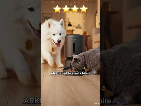 CAUGHT IN 4K 📸 Only LUMI Gets to Eat ⭐⭐⭐⭐⭐ | Ep.4